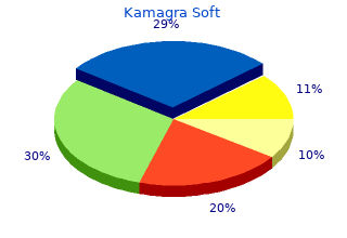 100mg kamagra soft fast delivery